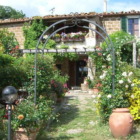 Le Querciolaie Monte Cavallo - Lower Apartment Saturnia Bagian luar foto