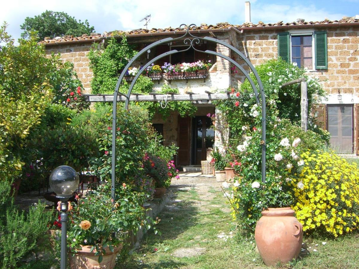 Le Querciolaie Monte Cavallo - Lower Apartment Saturnia Bagian luar foto