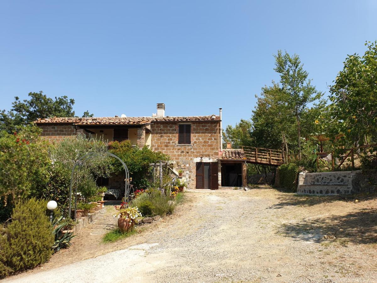 Le Querciolaie Monte Cavallo - Lower Apartment Saturnia Bagian luar foto