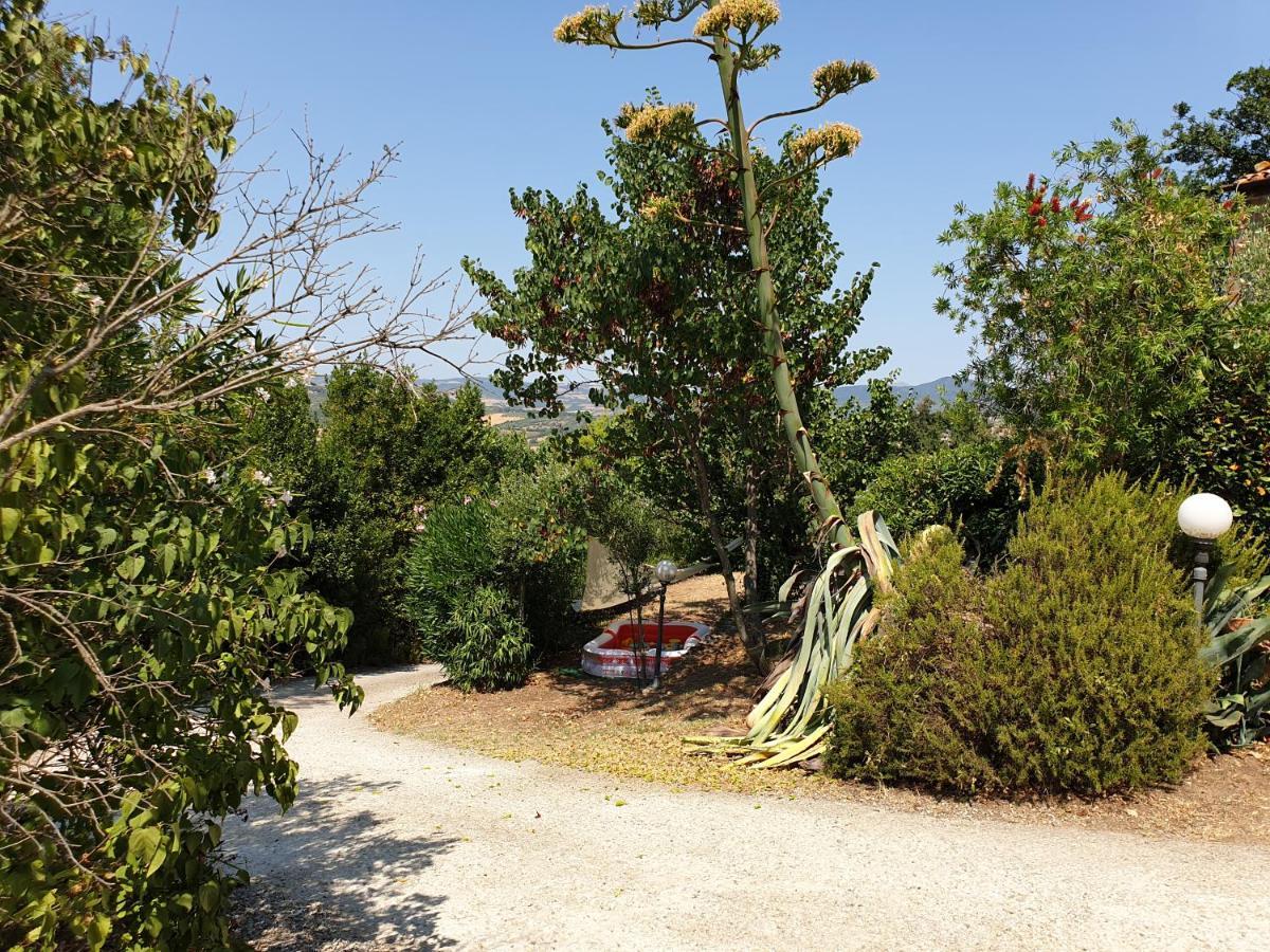 Le Querciolaie Monte Cavallo - Lower Apartment Saturnia Bagian luar foto